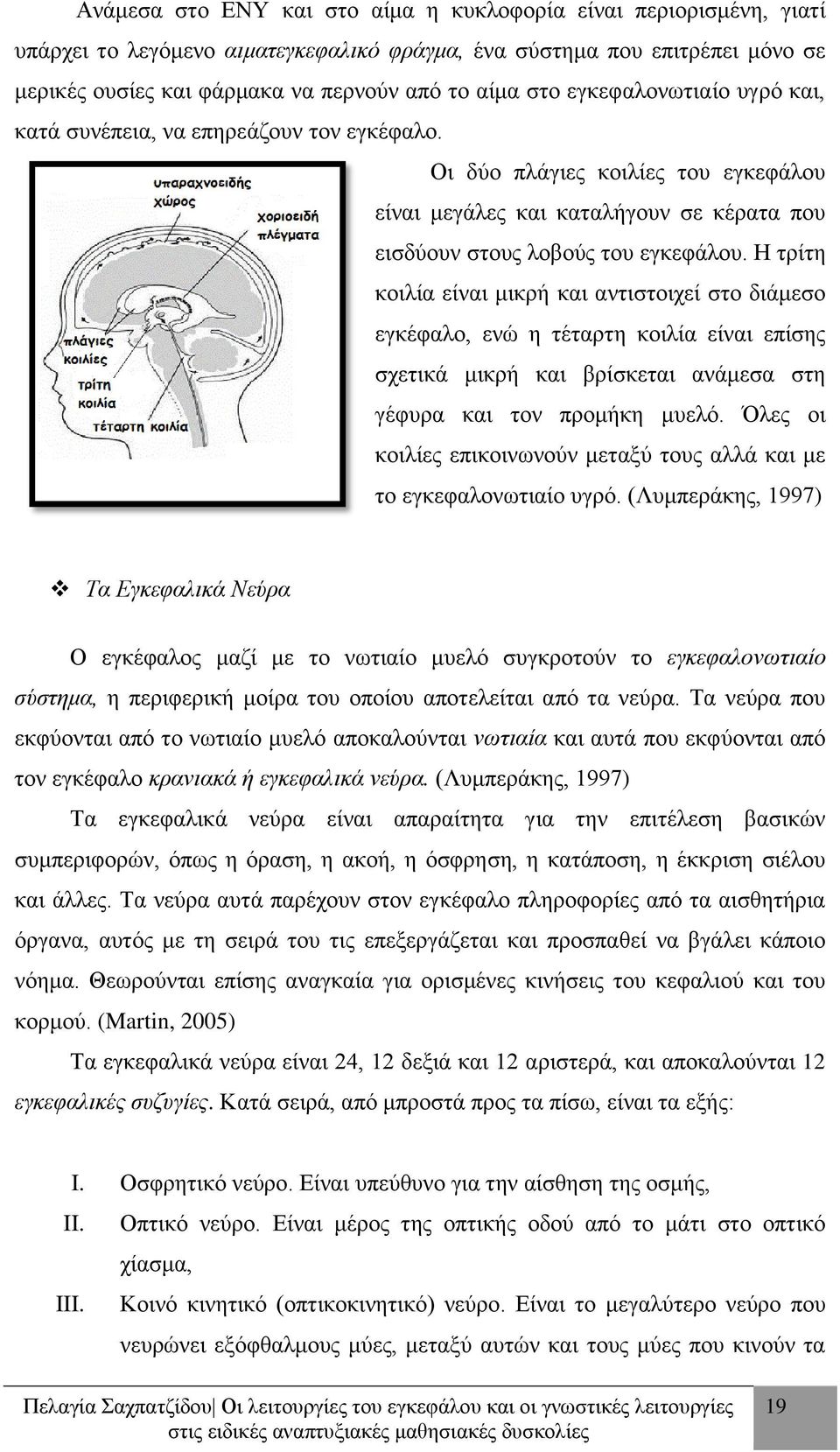 Η τρίτη κοιλία είναι μικρή και αντιστοιχεί στο διάμεσο εγκέφαλο, ενώ η τέταρτη κοιλία είναι επίσης σχετικά μικρή και βρίσκεται ανάμεσα στη γέφυρα και τον προμήκη μυελό.