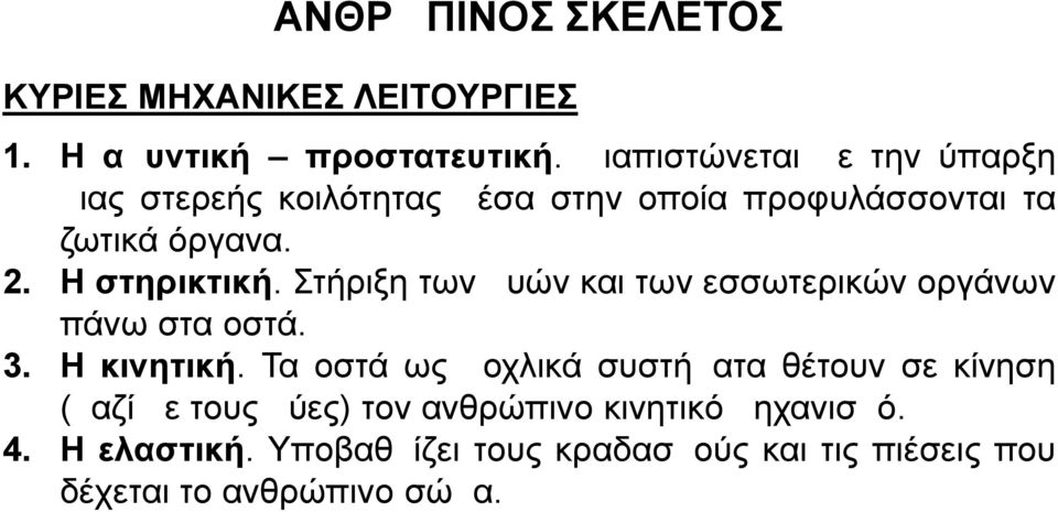 Η στηρικτική. Στήριξη των μυών και των εσσωτερικών οργάνων πάνω στα οστά. 3. Η κινητική.