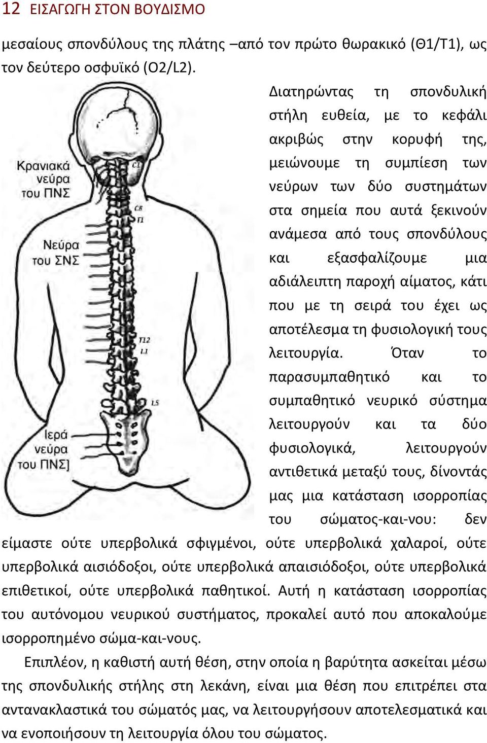 εξασφαλίζουμε μια αδιάλειπτη παροχή αίματος, κάτι που με τη σειρά του έχει ως αποτέλεσμα τη φυσιολογική τους λειτουργία.