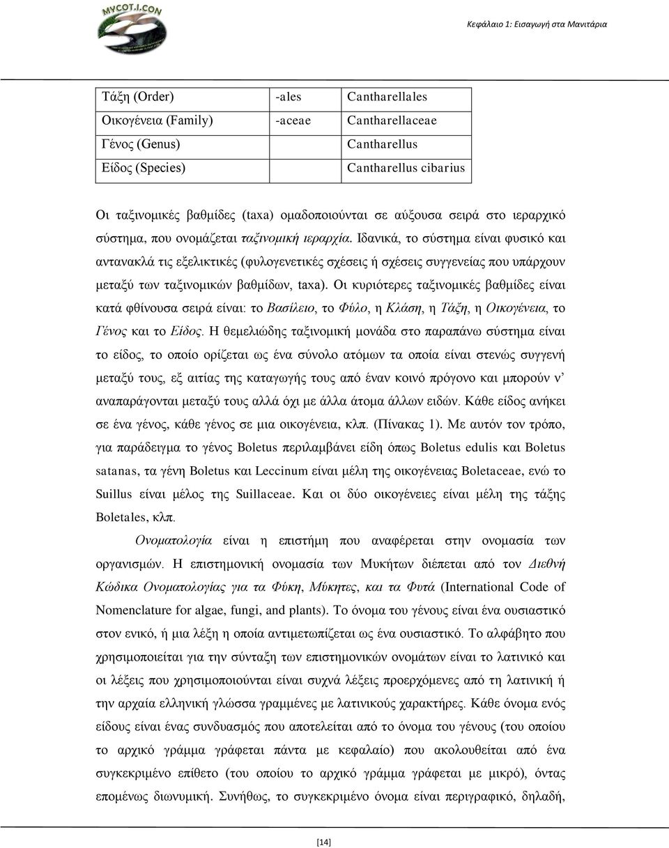 Ιδανικά, το σύστημα είναι φυσικό και αντανακλά τις εξελικτικές (φυλογενετικές σχέσεις ή σχέσεις συγγενείας που υπάρχουν μεταξύ των ταξινομικών βαθμίδων, taxa).