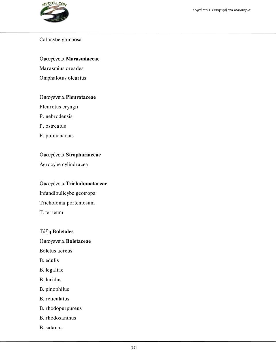 pulmonarius Οικογένεια Strophariaceae Agrocybe cylindracea Οικογένεια Tricholomataceae Infundibulicybe geotropa Tricholoma