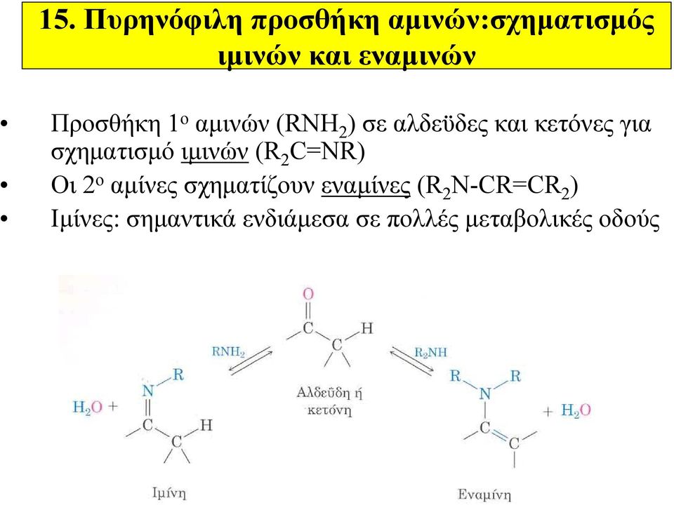 σχηματισμό ιμινών (R 2 C=NR) Οι 2 ο αμίνες σχηματίζουν εναμίνες