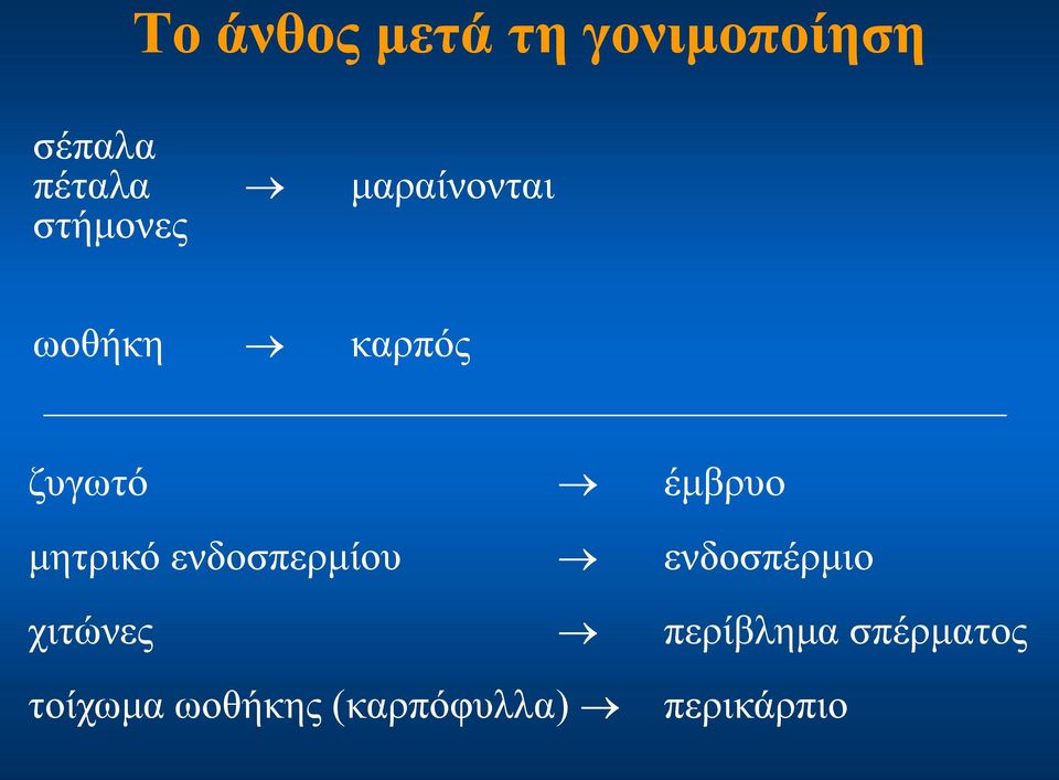 μητρικό ενδοσπερμίου ενδοσπέρμιο χιτώνες