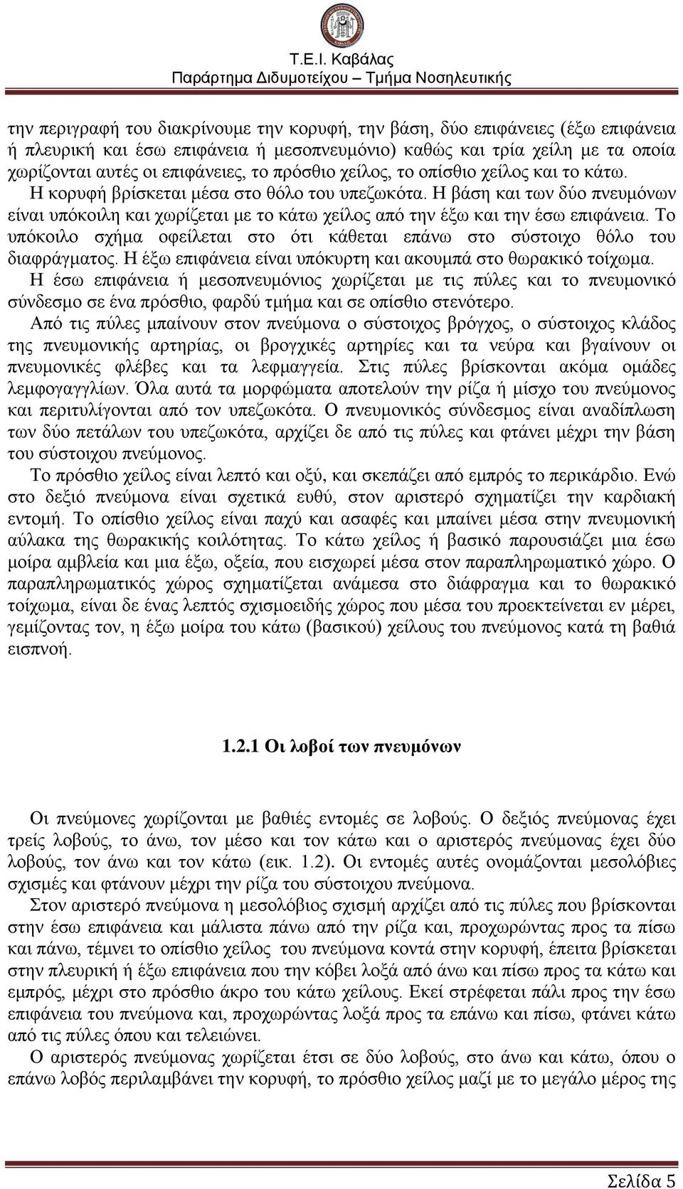 Η βάση και των δύο πνευμόνων είναι υπόκοιλη και χωρίζεται με το κάτω χείλος από την έξω και την έσω επιφάνεια. Το υπόκοιλο σχήμα οφείλεται στο ότι κάθεται επάνω στο σύστοιχο θόλο του διαφράγματος.