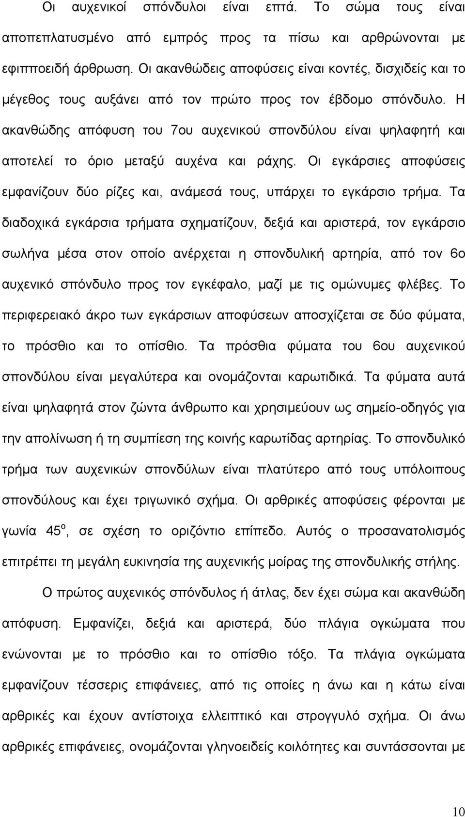 Η ακανθώδης απόφυση του 7ου αυχενικού σπονδύλου είναι ψηλαφητή και αποτελεί το όριο μεταξύ αυχένα και ράχης. Οι εγκάρσιες αποφύσεις εμφανίζουν δύο ρίζες και, ανάμεσά τους, υπάρχει το εγκάρσιο τρήμα.