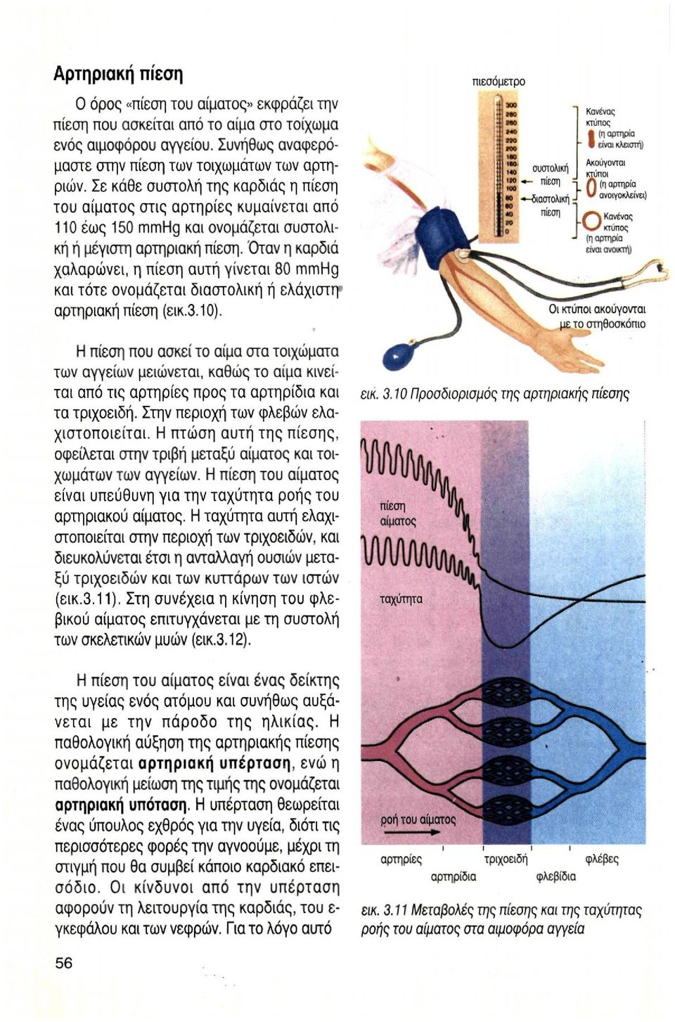 'Οταν η καρδιά χαλαρώνει, η πίεση αυτή γίνεται 80 mmhg και τότε ονομάζεται διαστολική ή ελάχιστη αρτηριακή πίεση (εικ.3.10).