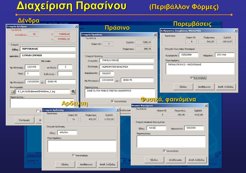 Δένδρα Πράσινο