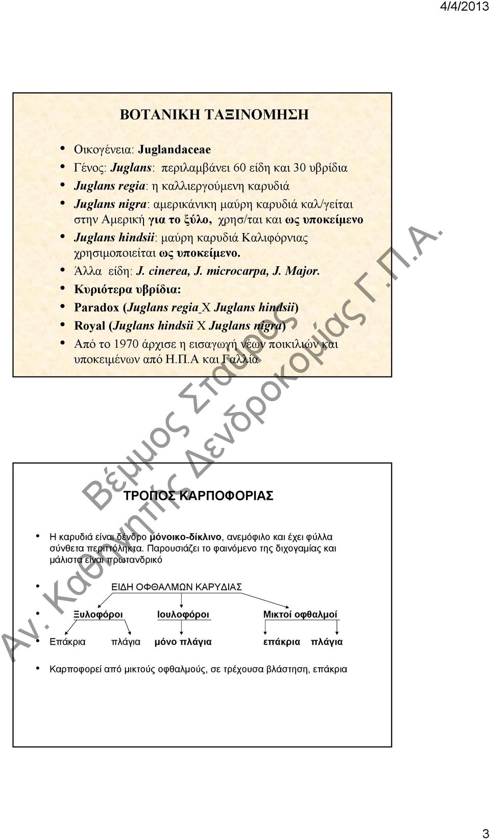 Κυριότερα υβρίδια: Paradox (Juglans regia X Juglans hindsii) Royal (Juglans hindsii X Juglans nigra) Από το 1970 άρχισε η εισαγωγή νέων ποικιλιών και υποκειμένων από Η.Π.