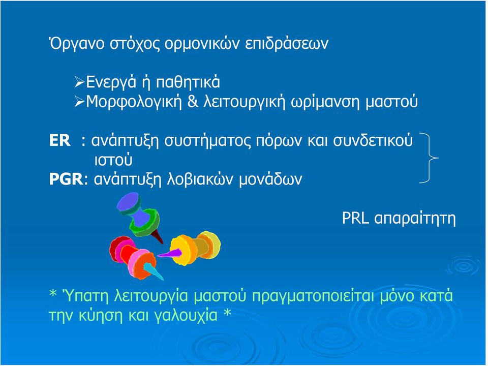 συνδετικού ιστού PGR: ανάπτυξη λοβιακών μονάδων PRL απαραίτητη *