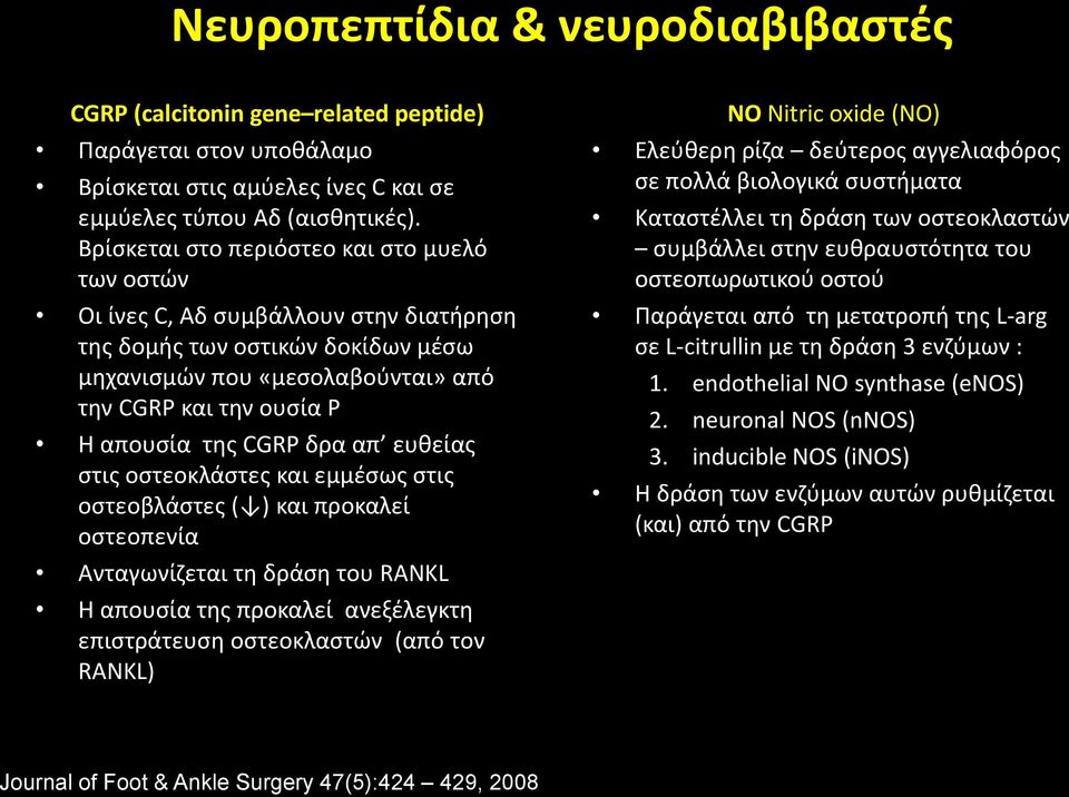 CGRP δρα απ ευθείας στις οστεοκλάστες και εμμέσως στις οστεοβλάστες ( ) και προκαλεί οστεοπενία Ανταγωνίζεται τη δράση του RANKL Η απουσία της προκαλεί ανεξέλεγκτη επιστράτευση οστεοκλαστών (από τον