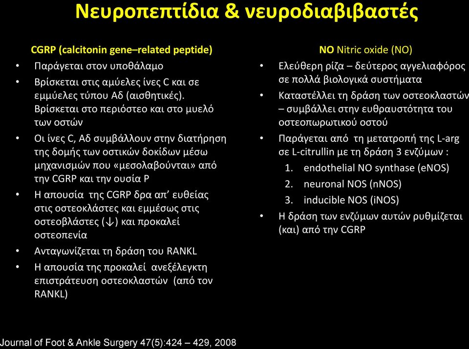 CGRP δρα απ ευθείας στις οστεοκλάστες και εμμέσως στις οστεοβλάστες ( ) και προκαλεί οστεοπενία Ανταγωνίζεται τη δράση του RANKL Η απουσία της προκαλεί ανεξέλεγκτη επιστράτευση οστεοκλαστών (από τον