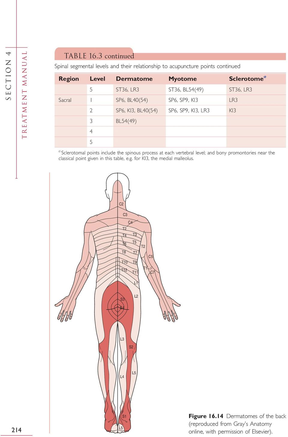 LR3 Sacral 1 SP6, BL40(54) SP6, SP9, KI3 LR3 2 SP6, KI3, BL40(54) SP6, SP9, KI3, LR3 KI3 3 BL54(49) 4 5 a Sclerotomal points include the spinous process at each vertebral