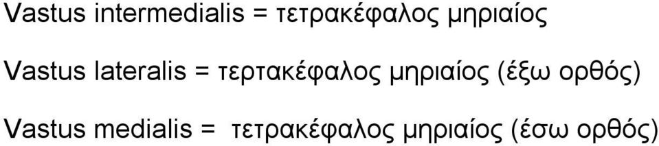 τερτακέφαλος μηριαίος (έξω ορθός)