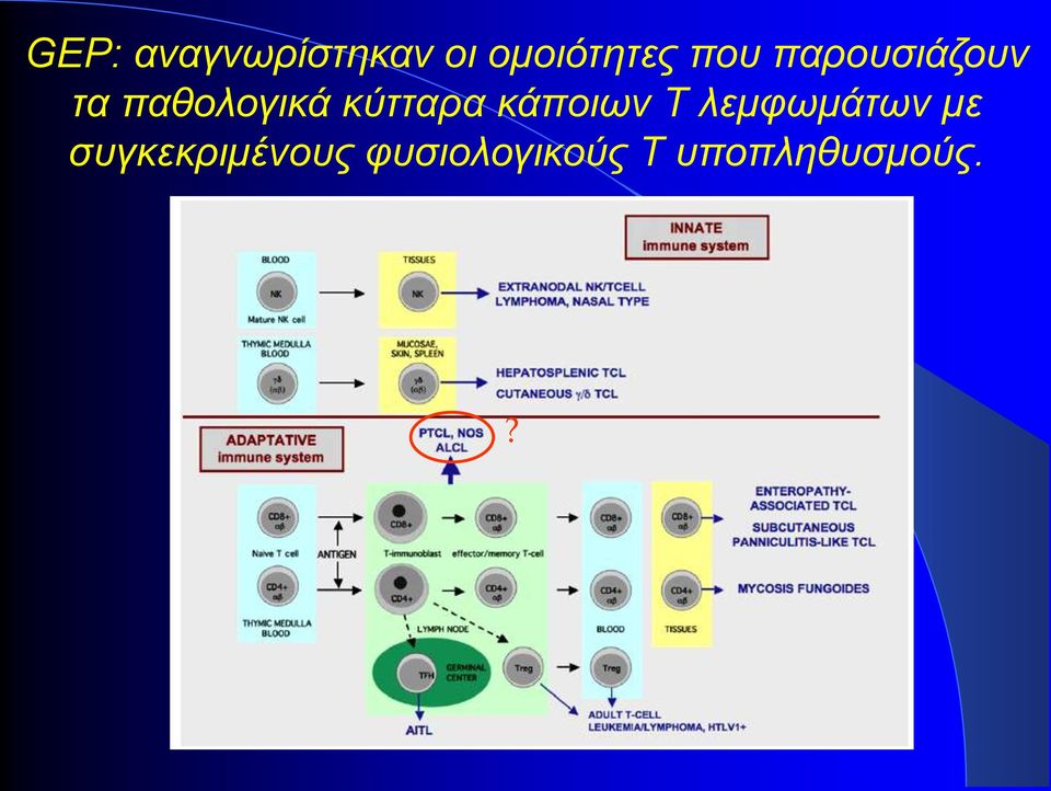 κύτταρα κάποιων Τ λεμφωμάτων με