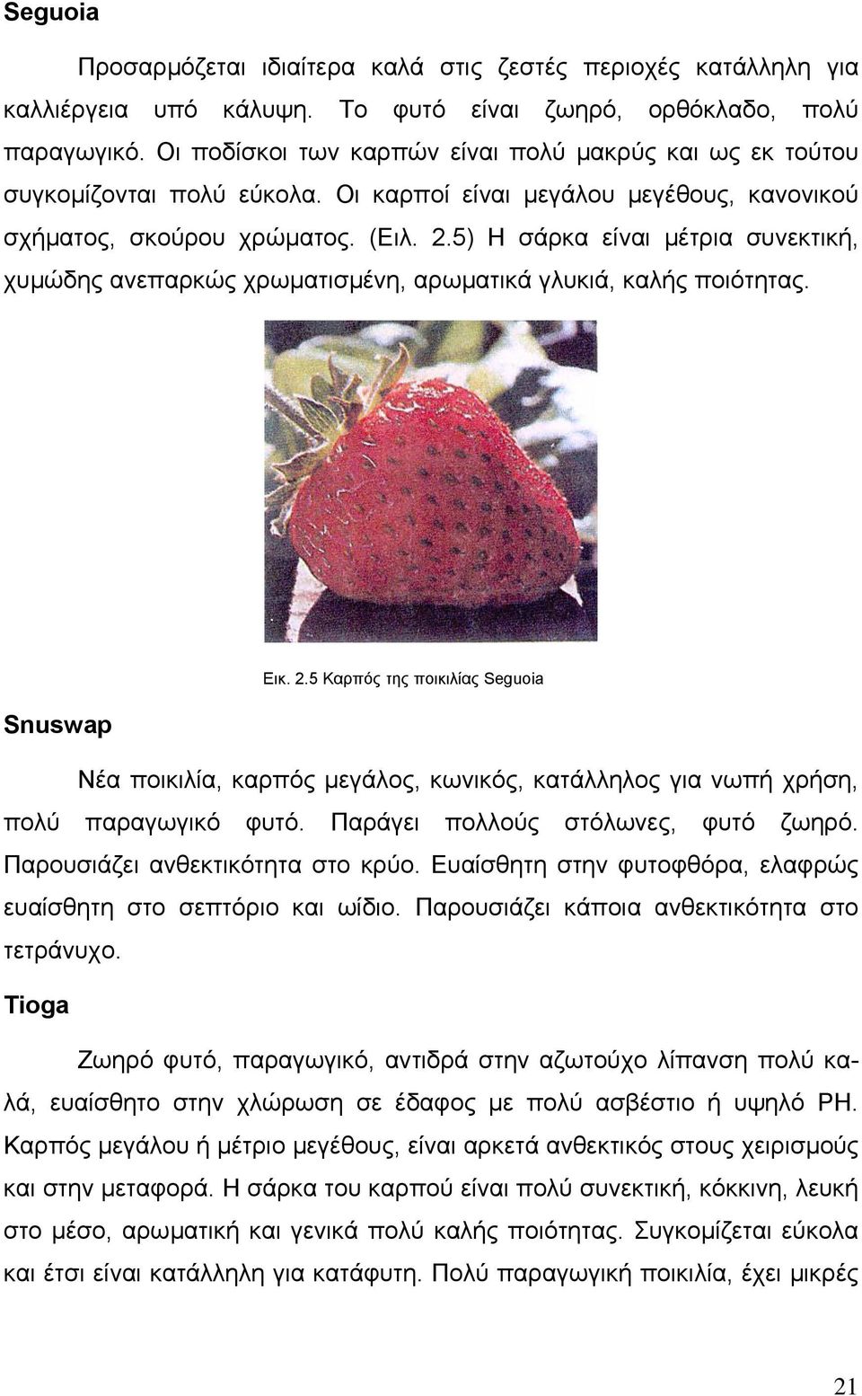 5) Η σάρκα είναι µέτρια συνεκτική, χυµώδης ανεπαρκώς χρωµατισµένη, αρωµατικά γλυκιά, καλής ποιότητας. Εικ. 2.