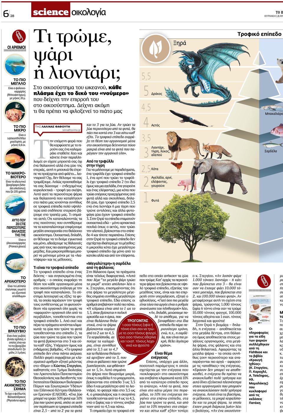Στην ξηρά η βιομάζα δηλαδή, η ενέργεια αποθηκεύεται στα μεγάλα δέντρα, στη θάλασσα όμως αποθηκεύεται στους μεγάλους οργανισμούς, στα μεγάλα ψάρια, στις φάλαινες και στα άλλα θηλαστικά.