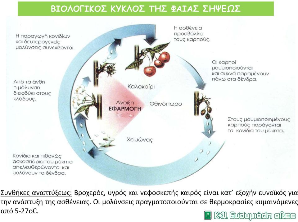 ευνοϊκός για την ανάπτυξη της ασθένειας.