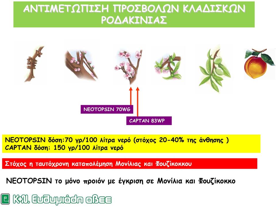 δόση: 150 γρ/100 λίτρα νερό Στόχος η ταυτόχρονη καταπολέμηση Μονίλιας