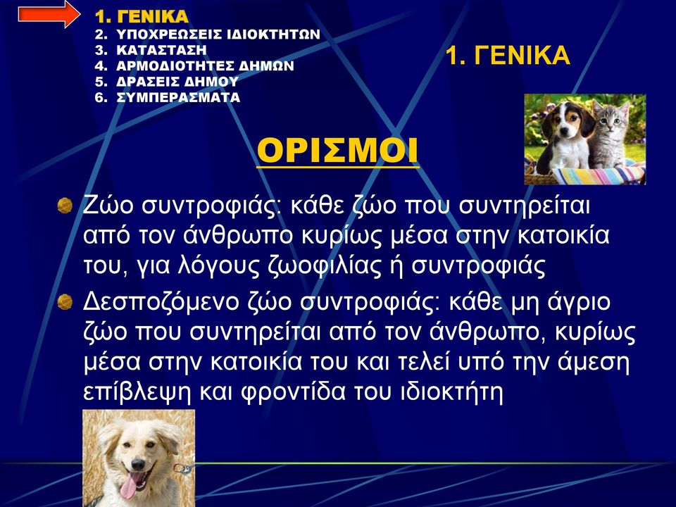 ζώο συντροφιάς: κάθε μη άγριο ζώο που συντηρείται από τον άνθρωπο, κυρίως