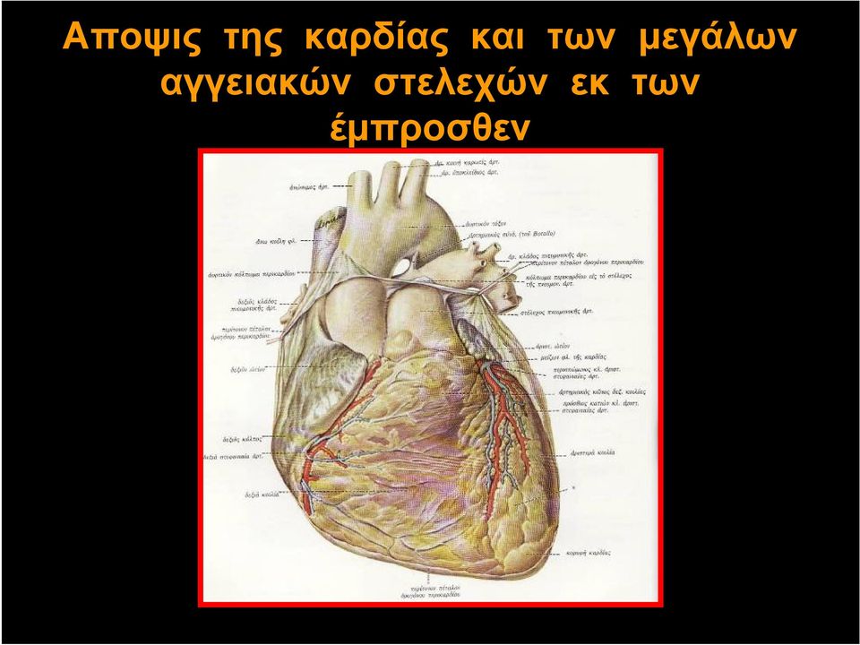 μεγάλων αγγειακών