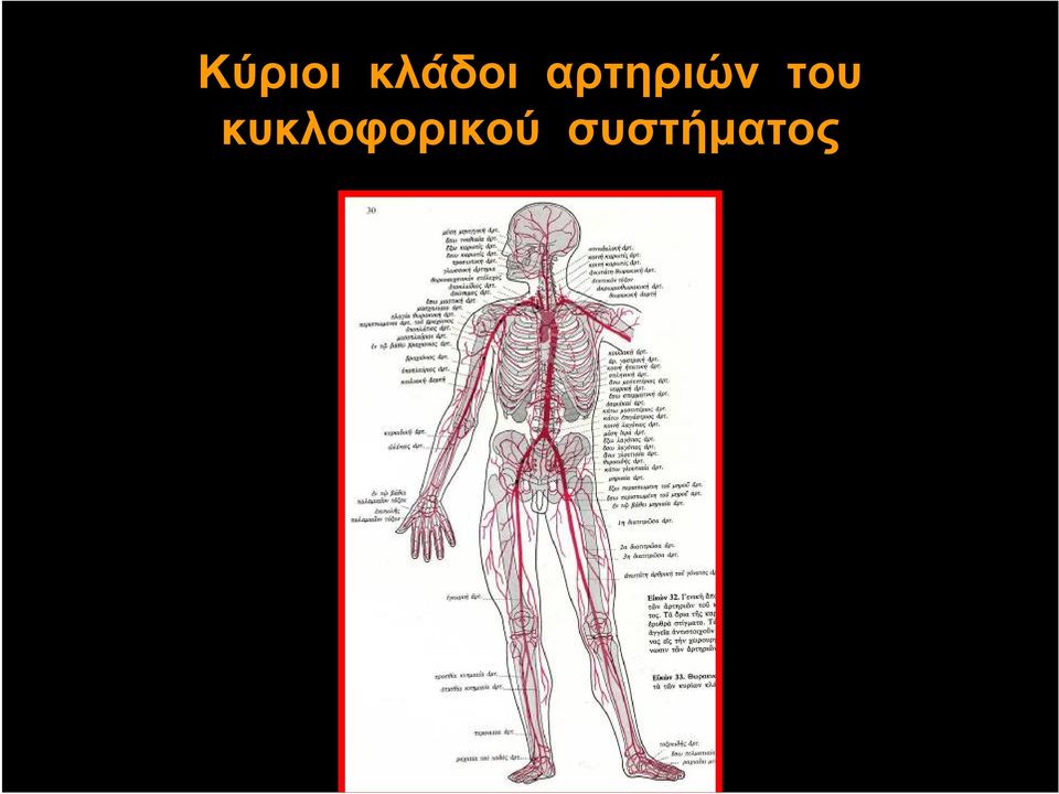 αρτηριών του