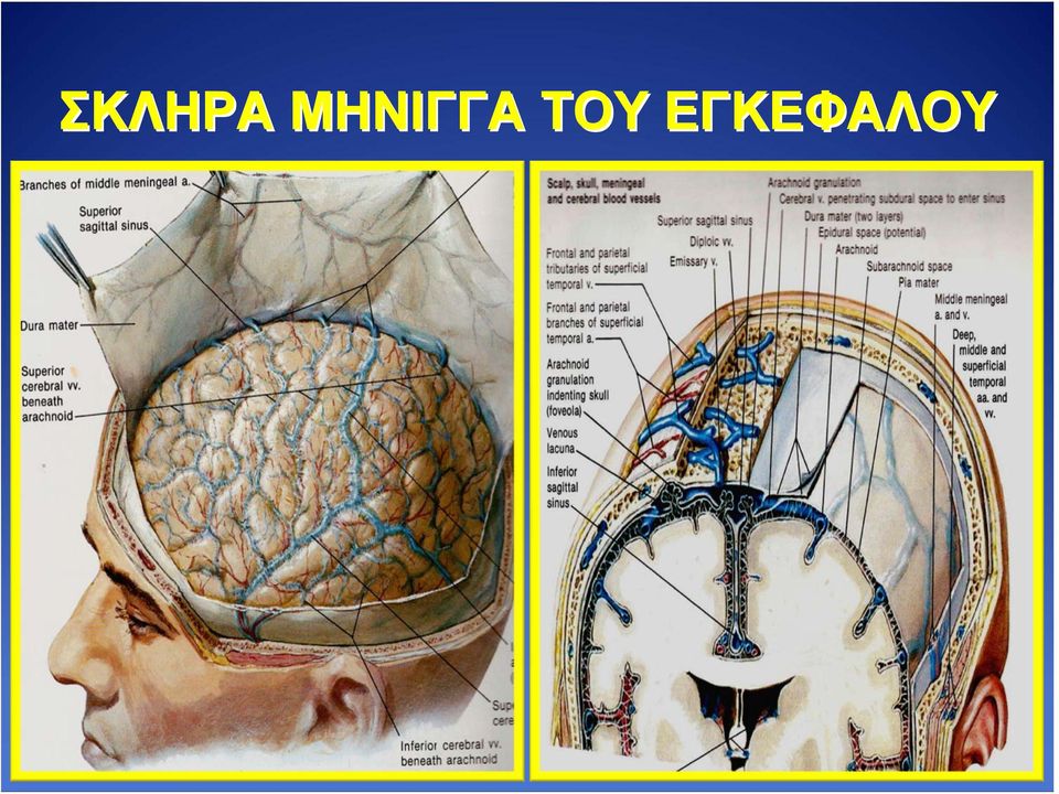 ΤΟΥ