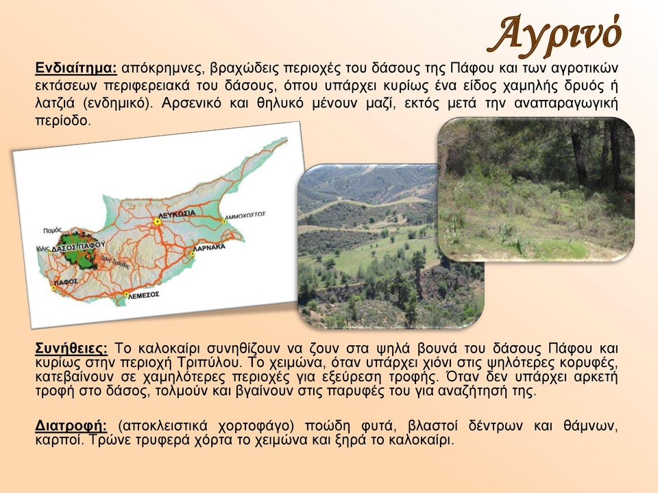 Συνήθειες: Το καλοκαίρι συνηθίζουν να ζουν στα ψηλά βουνά του δάσους Πάφου και κυρίως στην περιοχή Τριπύλου.