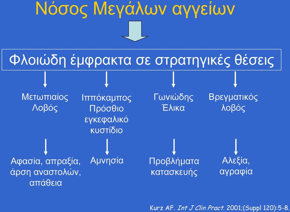 λοβός Αφασία, απραξία, άρση αναστολών, απάθεια Αμνησία Προβλήματα