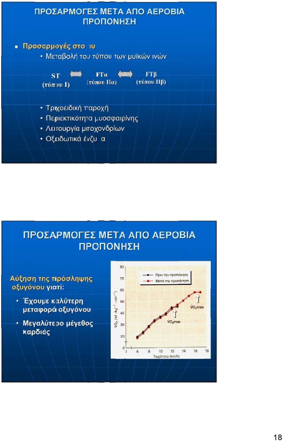 μυοσφαιρίνης Λειτουργία μιτοχονδρίων Οξειδωτικά ένζυμα ΠΡΟΣΑΡΜΟΓΕΣ ΜΕΤΑ ΑΠΟ ΑΕΡΟΒΙΑ