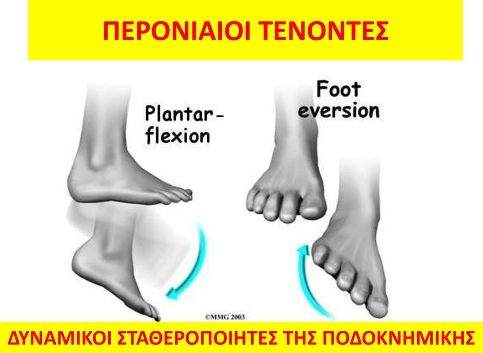 ΔΥΝΑΜΙΚΟΙ
