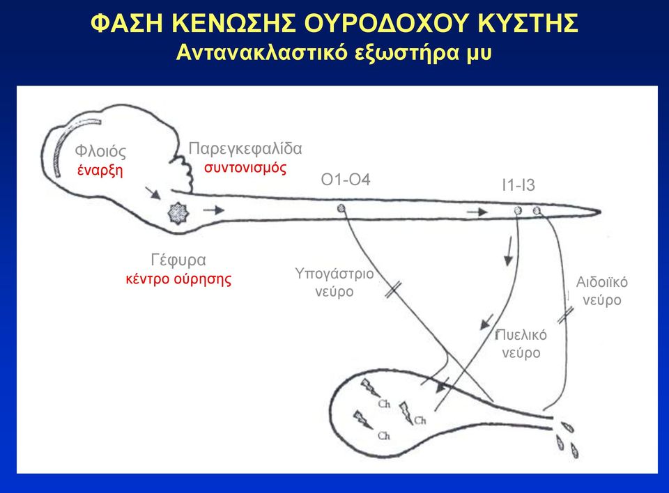 Παρεγκεφαλίδα συντονισμός Ο1-Ο4 Ι1-Ι3