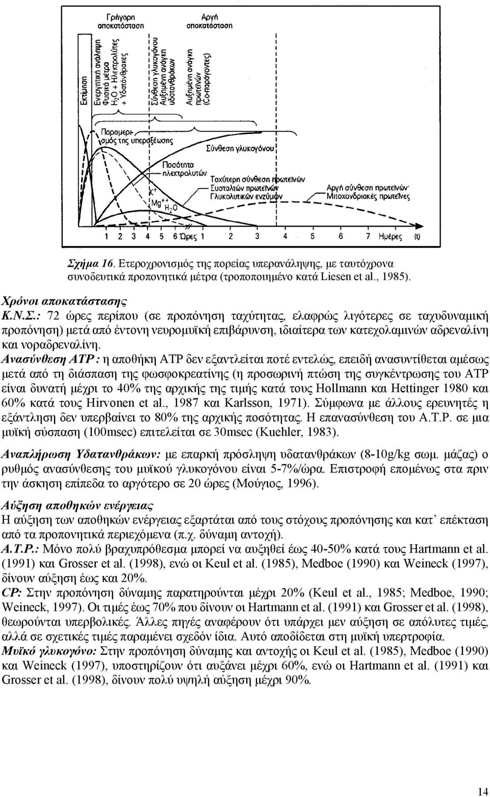 της αρχικής της τιμής κατά τους Hollmann και Hettinger 1980 και 60% κατά τους Hirvonen et al., 1987 και Κarlsson, 1971).