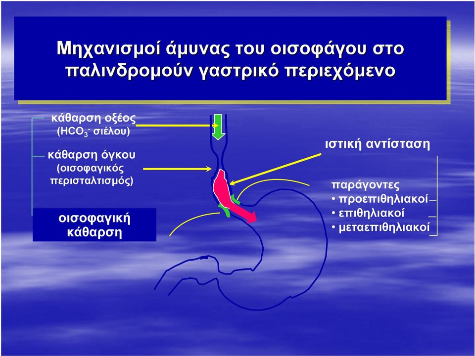 (οισοφαγικός περισταλτισμός) οισοφαγική κάθαρση ιστική