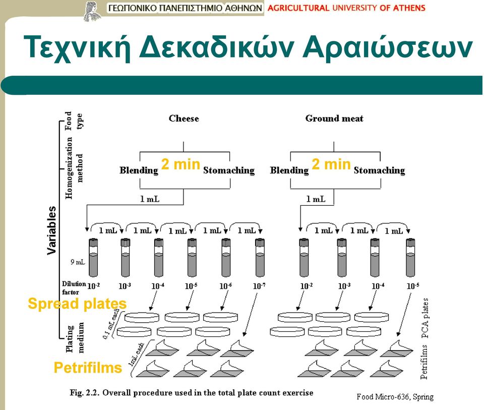 Αραιώσεων 2 min