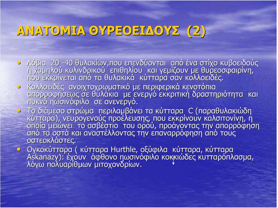 Το διάμεσο στρώμα περιλαμβάνει τα κύτταρα C (παραθυλακιώδη κύτταρα), νευρογενούς προέλευσης, που εκκρίνουν καλσιτονίνη,, η οποία μειώνει το ασβέστιο του ορού, προάγοντας την απορρόφηση