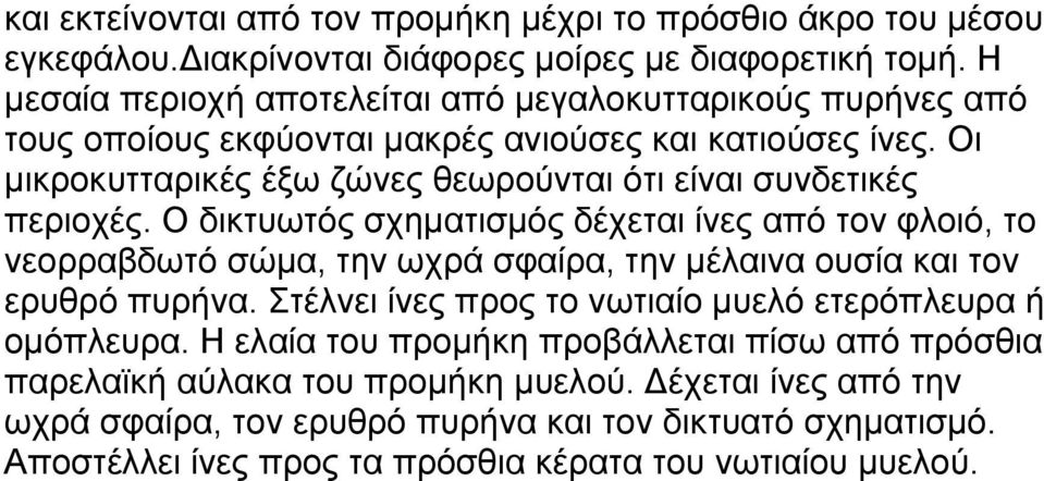 Οι μικροκυτταρικές έξω ζώνες θεωρούνται ότι είναι συνδετικές περιοχές.