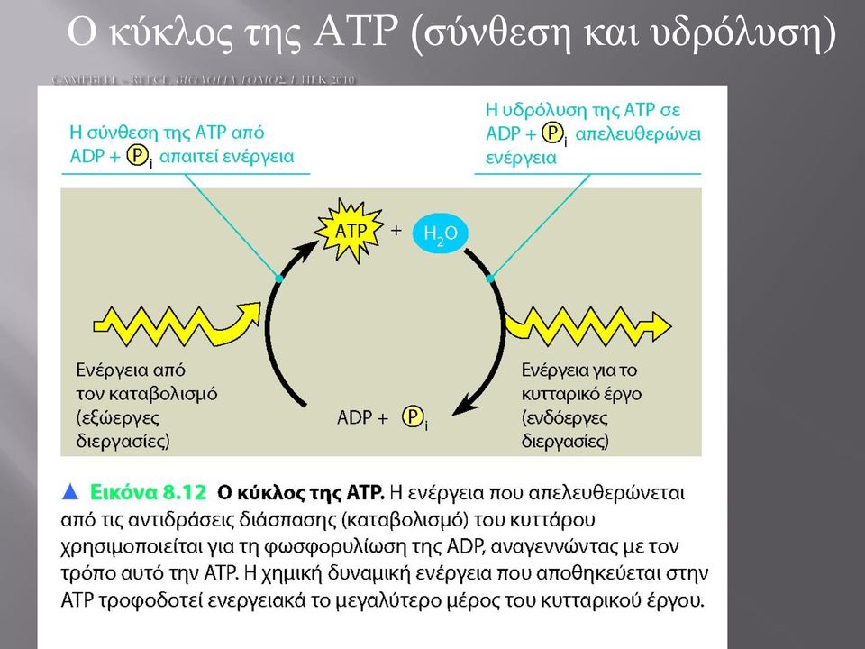 (σύνθεση