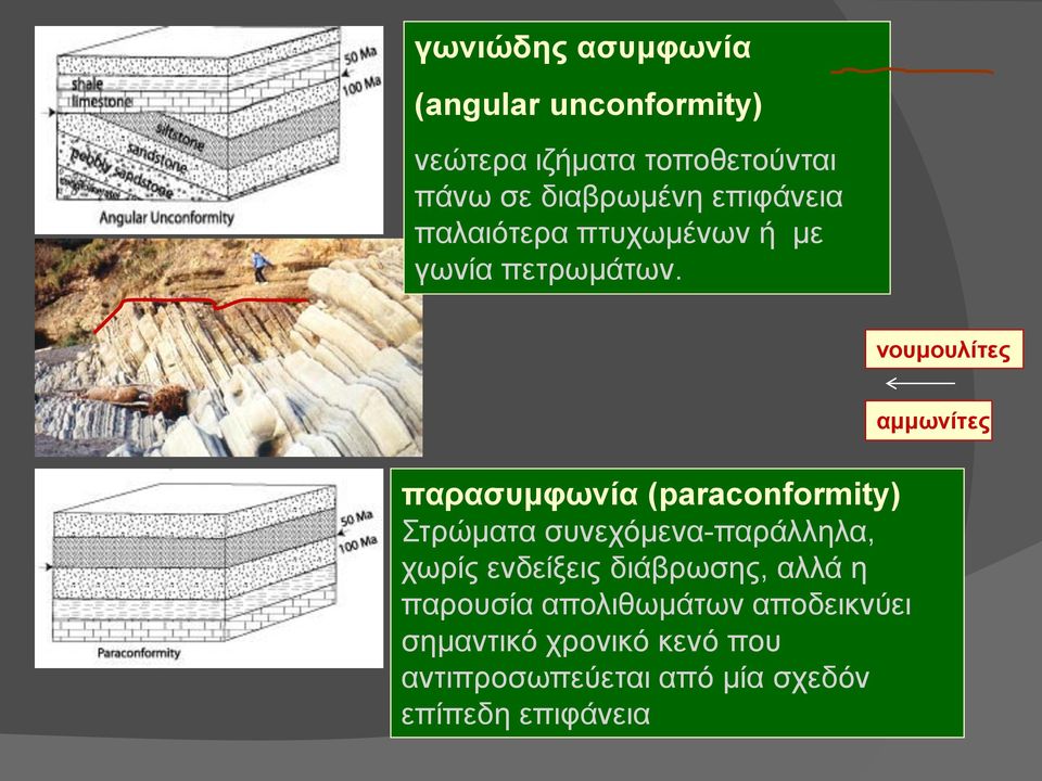 νουμουλίτες αμμωνίτες παρασυμφωνία (paraconformity) Στρώματα συνεχόμενα-παράλληλα, χωρίς