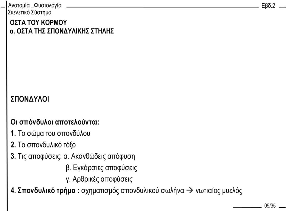Ακανθώδεις απόφυση β. Εγκάρσιες αποφύσεις γ. Αρθρικές αποφύσεις 4.