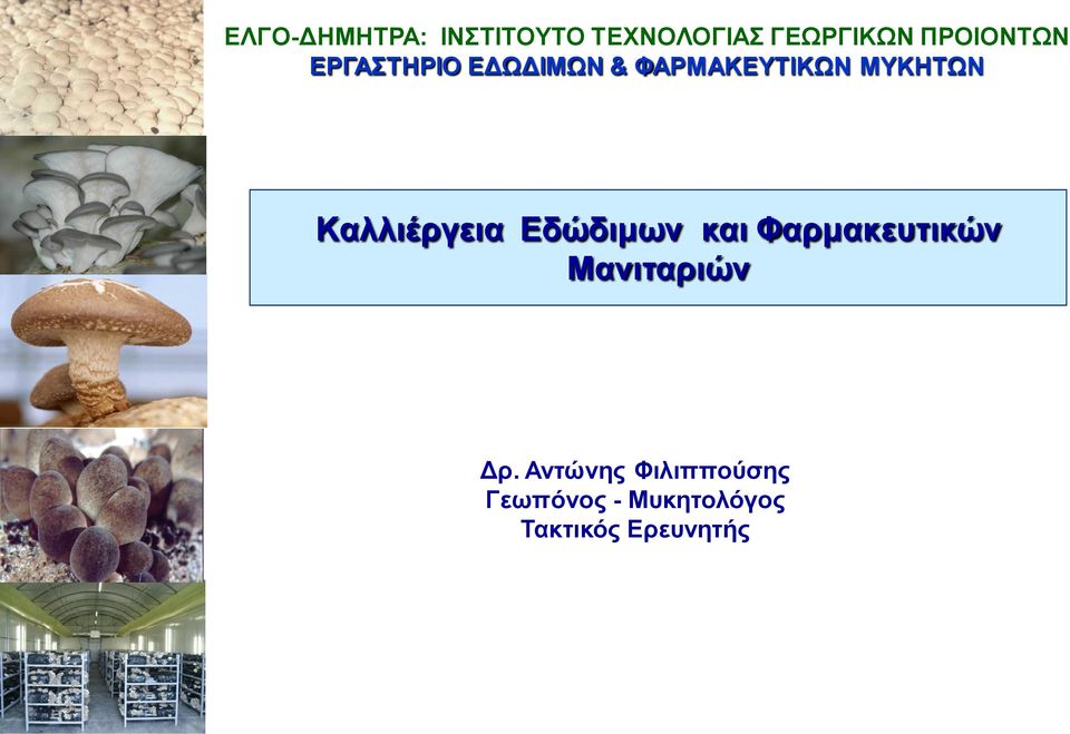 Kαλλιέργεια Εδώδιμων και Φαρμακευτικών Μανιταριών Δρ.