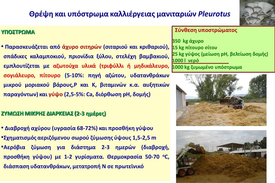 δομής) Σύνθεση υποστρώματος 350 kg άχυρο 15 kg πίτουρο σίτου 25 kg γύψος (μείωση ph, βελτίωση δομής) 1000 l νερό 1000 kg ζυμωμένο υπόστρωμα ΖΥΜΩΣΗ ΜΙΚΡΗΣ ΔΙΑΡΚΕΙΑΣ (2-3 ημέρες) Διαβροχή αχύρου