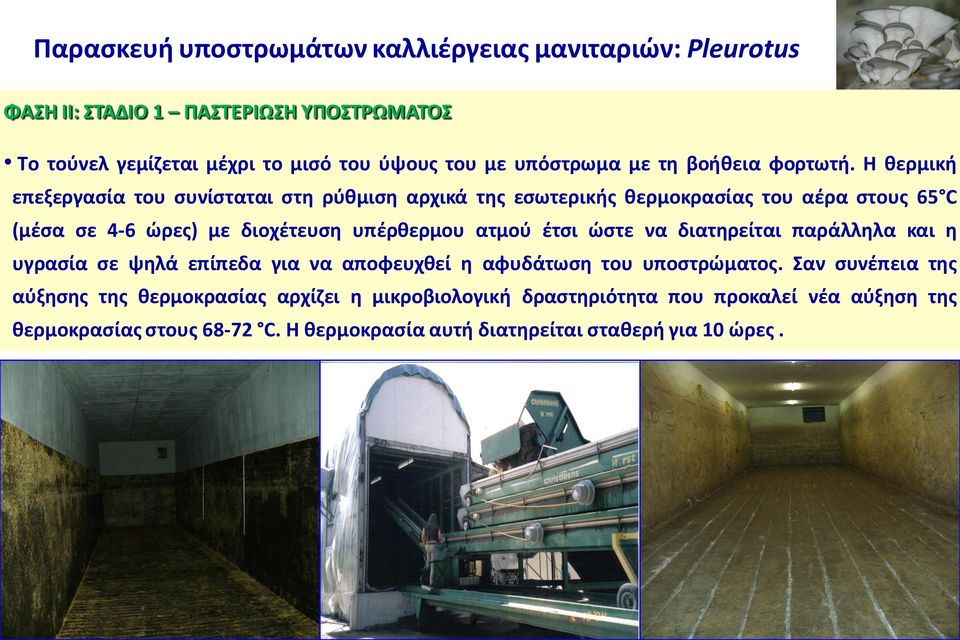 H θερμική επεξεργασία του συνίσταται στη ρύθμιση αρχικά της εσωτερικής θερμοκρασίας του αέρα στους 65 C (μέσα σε 4-6 ώρες) με διοχέτευση υπέρθερμου ατμού έτσι