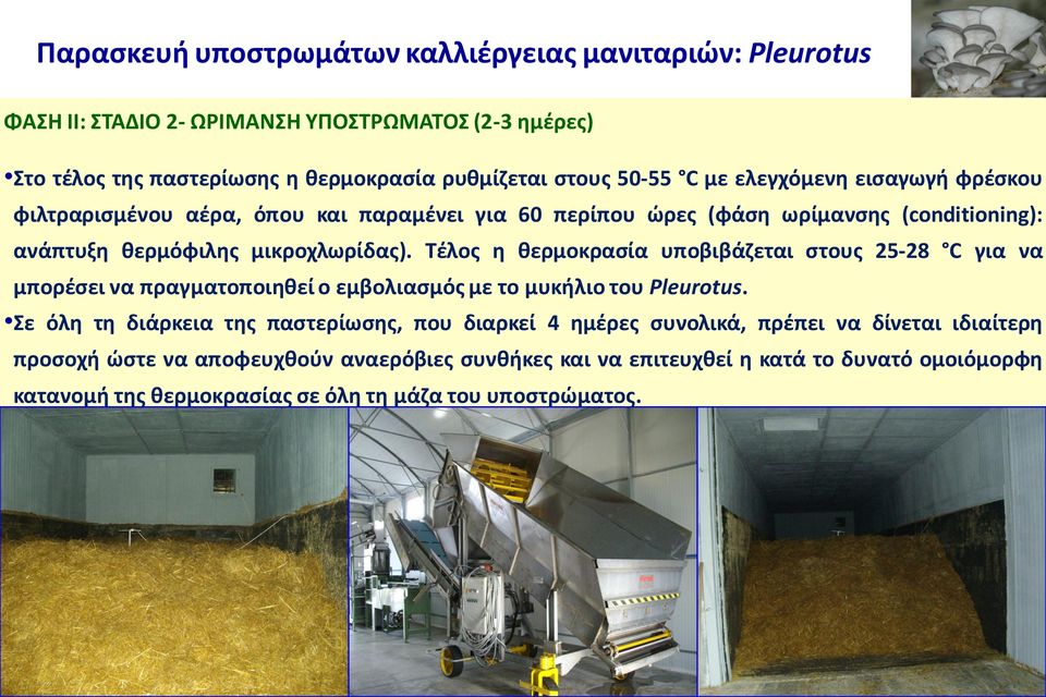 Tέλος η θερμοκρασία υποβιβάζεται στους 25-28 C για να μπορέσει να πραγματοποιηθεί ο εμβολιασμός με το μυκήλιο του Pleurotus.