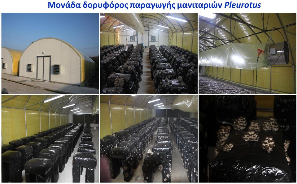 παραγωγής