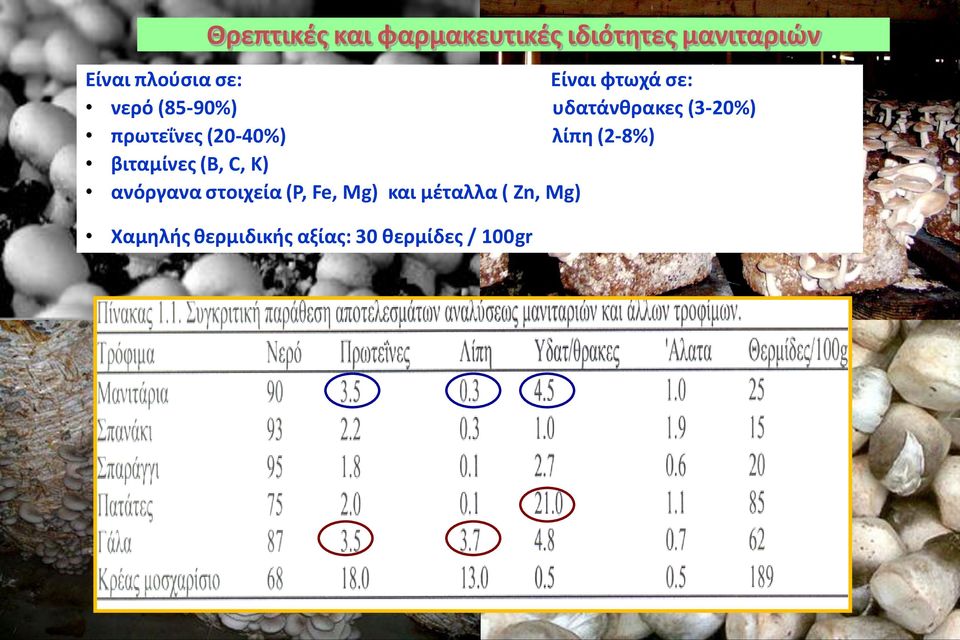 (20-40%) λίπη (2-8%) βιταμίνες (B, C, K) ανόργανα στοιχεία (P, Fe,