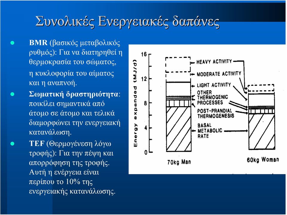 Σωματική δραστηριότητα: ποικίλει σημαντικά από άτομο σε άτομο και τελικά διαμορφώνει την