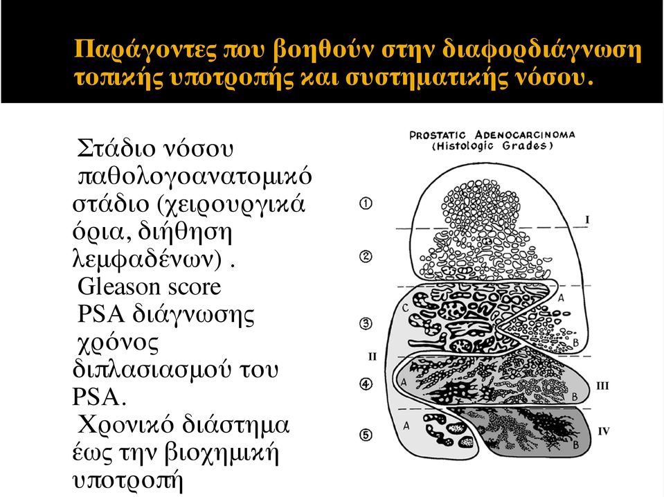 Στάδιο νόσου παθολογοανατομικό στάδιο (χειρουργικά όρια, διήθηση