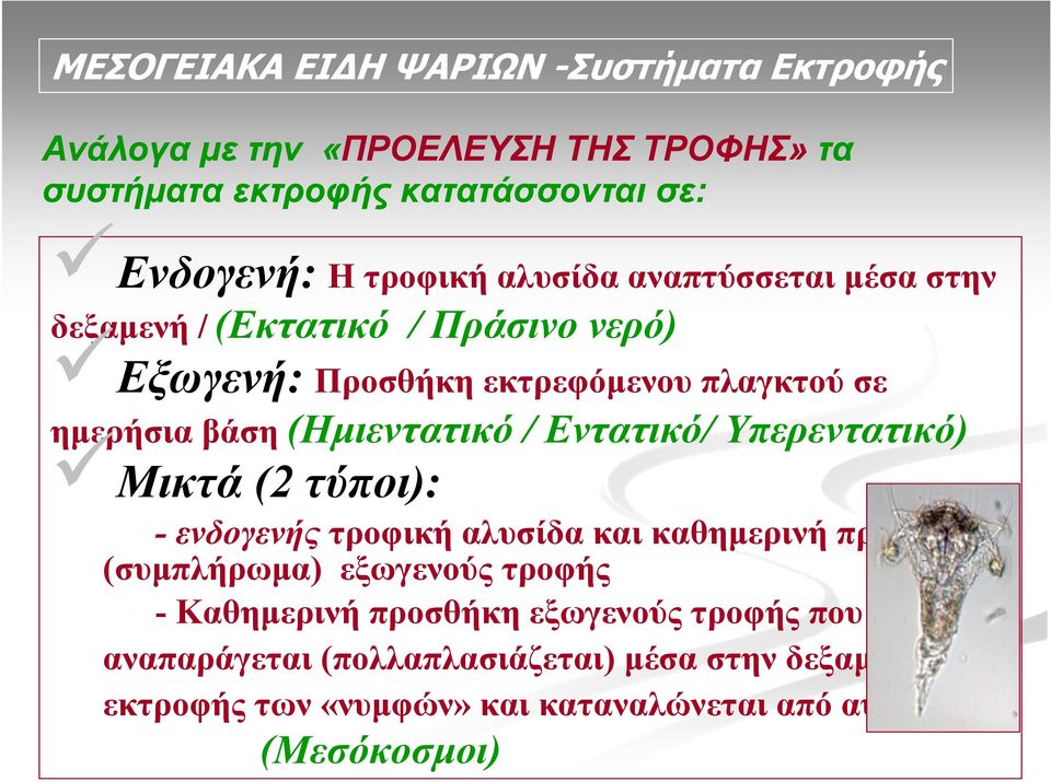 (Ημιεντατικό / Εντατικό/ Υπερεντατικό) Μικτά (2 τύποι): - ενδογενής τροφική αλυσίδα και καθημερινή προσθήκη (συμπλήρωμα) εξωγενούς τροφής -