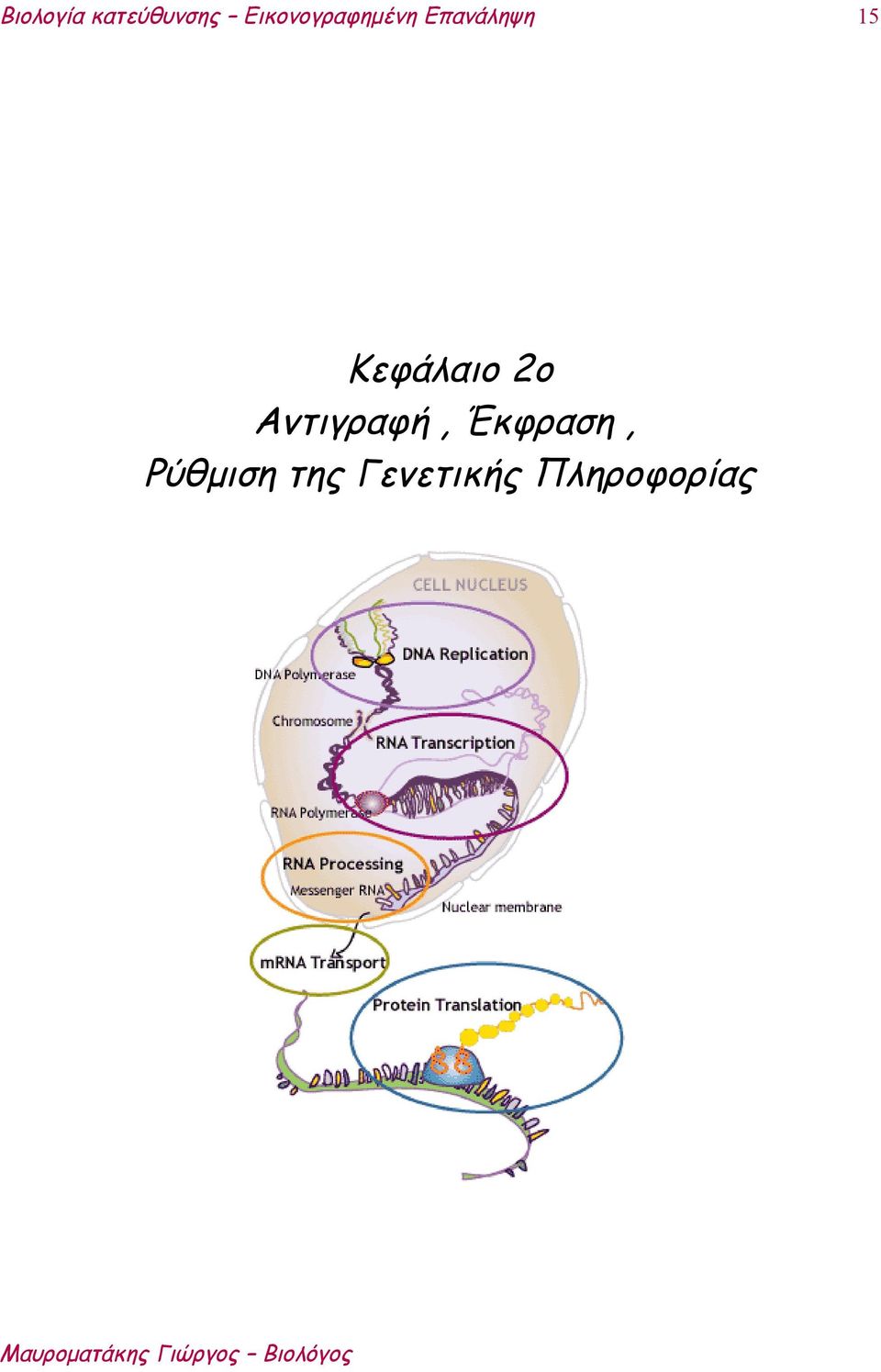 Έκφραση, Ρύθμιση