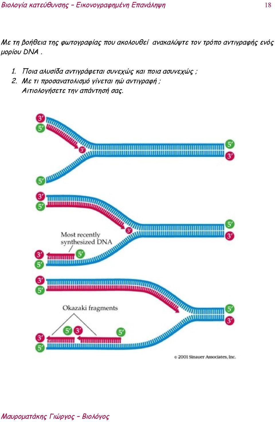 Ποια αλυσίδα αντιγράφεται συνεχώς και ποια ασυνεχώς ; 2.